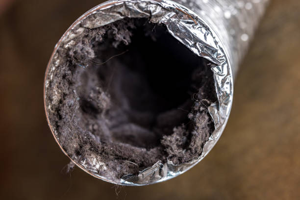 Best Residential Air Duct Cleaning  in Hyattsville, MD